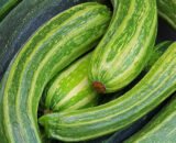 Courgette